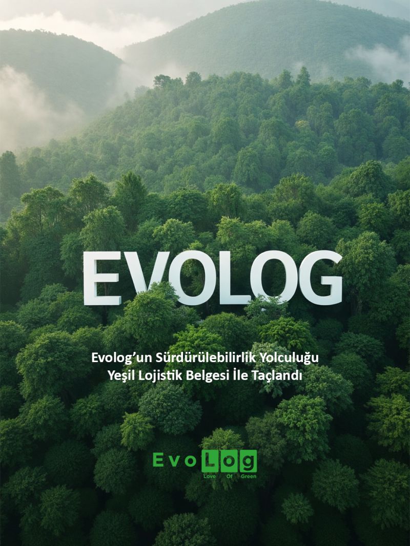 Blog Görseli